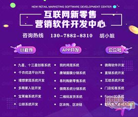 华特松鼠类系统与信息安全软件开发深度解析